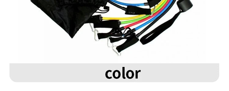 PeakBands 11-Piece Resistance Band Kit — Handles, Door Anchor & Carry Bag