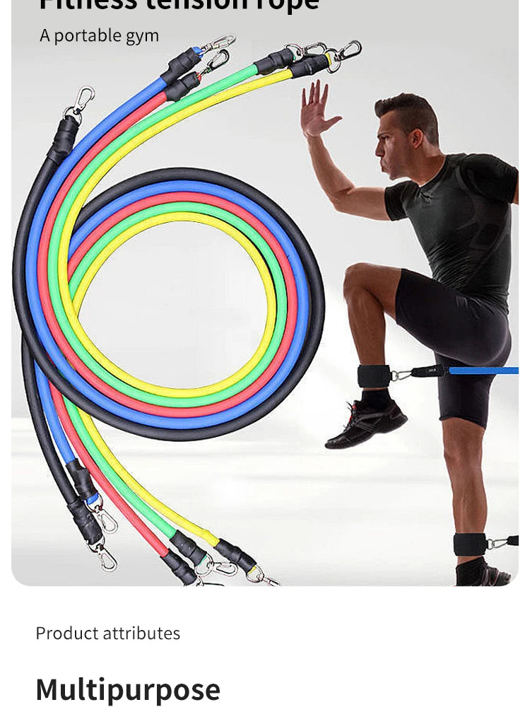 PeakBands 11-Piece Resistance Band Kit — Handles, Door Anchor & Carry Bag